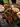 Slices of seared beef arranged on a dark serving board with sesame seeds and green garnish, plus small bowls of sauces and sides in the background.